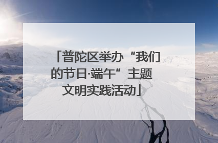 普陀区举办“我们的节日·端午”主题文明实践活动