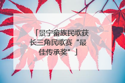 景宁畲族民歌获长三角民歌赛“最佳传承奖”
