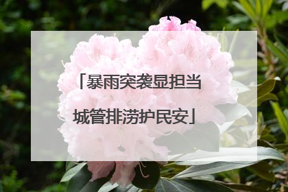 暴雨突袭显担当 城管排涝护民安
