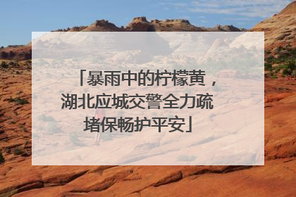 暴雨中的柠檬黄，湖北应城交警全力疏堵保畅护平安
