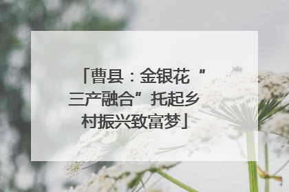 曹县：金银花“三产融合”托起乡村振兴致富梦