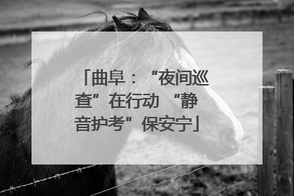 曲阜：“夜间巡查”在行动 “静音护考”保安宁