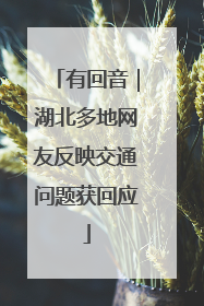 有回音｜湖北多地网友反映交通问题获回应