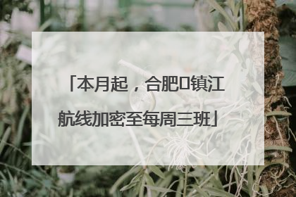 本月起，合肥⇋镇江航线加密至每周三班