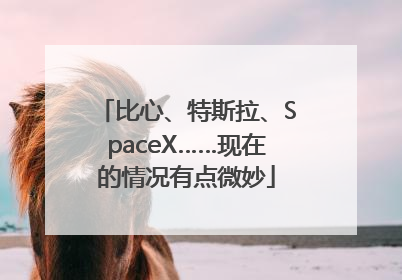 比心、特斯拉、SpaceX……现在的情况有点微妙