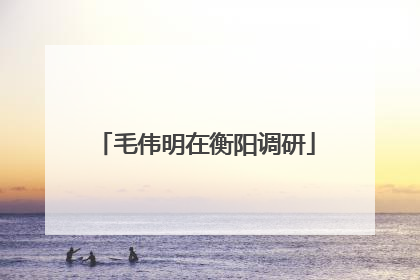 毛伟明在衡阳调研