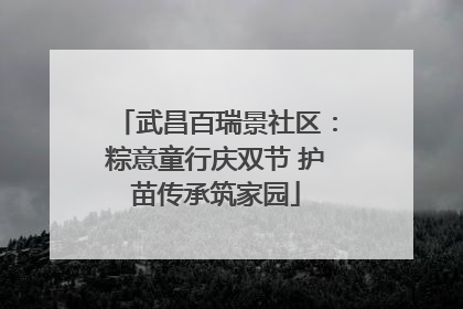 武昌百瑞景社区：粽意童行庆双节 护苗传承筑家园