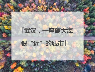 武汉，一座离大海很“近”的城市