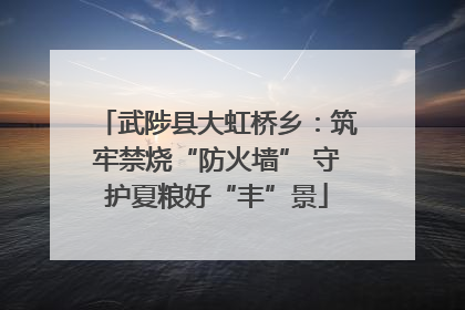 武陟县大虹桥乡：筑牢禁烧“防火墙” 守护夏粮好“丰”景