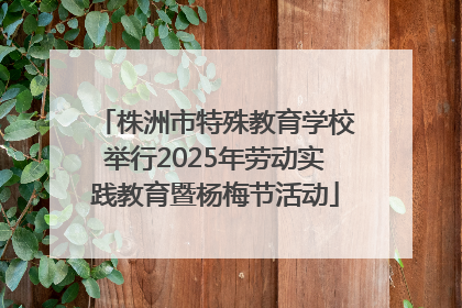 株洲市特殊教育学校举行2025年劳动实践教育暨杨梅节活动