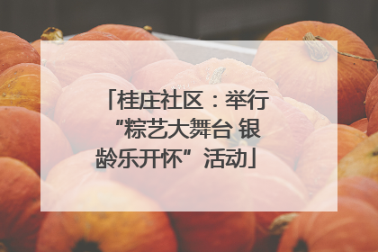 桂庄社区：举行“粽艺大舞台 银龄乐开怀”活动