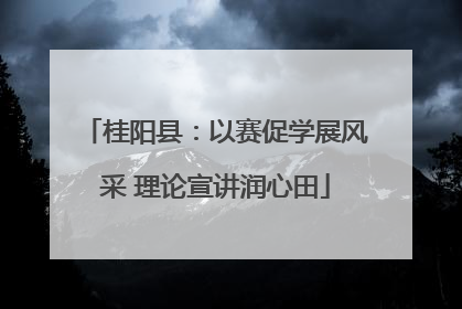 桂阳县：以赛促学展风采 理论宣讲润心田