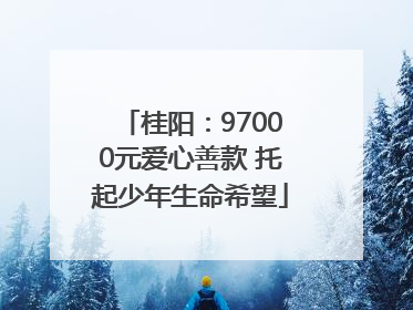 桂阳：97000元爱心善款 托起少年生命希望