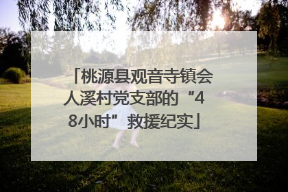 桃源县观音寺镇会人溪村党支部的“48小时”救援纪实
