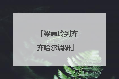 梁惠玲到齐齐哈尔调研