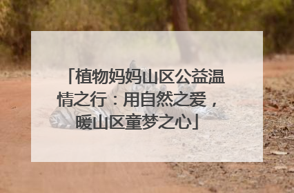 植物妈妈山区公益温情之行：用自然之爱，暖山区童梦之心
