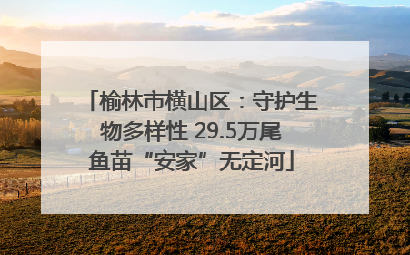 榆林市横山区：守护生物多样性 29.5万尾鱼苗“安家”无定河