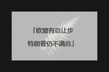 欧盟有意让步 特朗普仍不满意