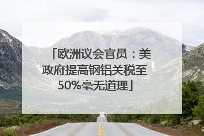 欧洲议会官员：美政府提高钢铝关税至50%毫无道理