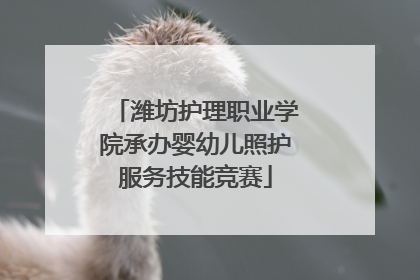 潍坊护理职业学院承办婴幼儿照护服务技能竞赛