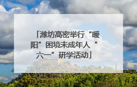 潍坊高密举行“暖阳”困境未成年人“六一”研学活动