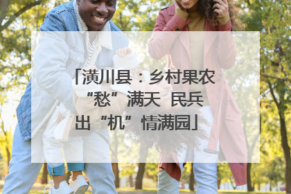 潢川县：乡村果农“愁”满天  民兵出“机”情满园