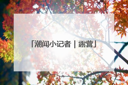 潮闻小记者｜露营