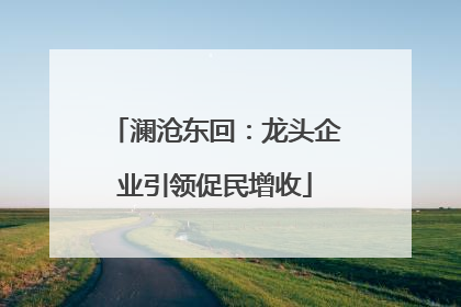 澜沧东回：龙头企业引领促民增收