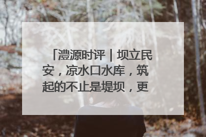 澧源时评｜坝立民安，凉水口水库，筑起的不止是堤坝，更是民心长城