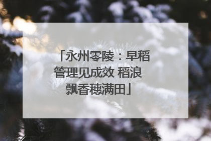 永州零陵：早稻管理见成效 稻浪飘香穗满田