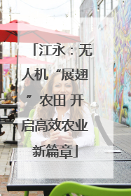 江永：无人机“展翅”农田 开启高效农业新篇章
