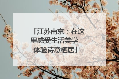 江苏南京：在这里感受生活美学 体验诗意栖居