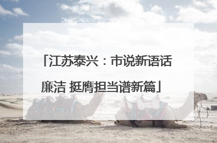 江苏泰兴：市说新语话廉洁 挺膺担当谱新篇