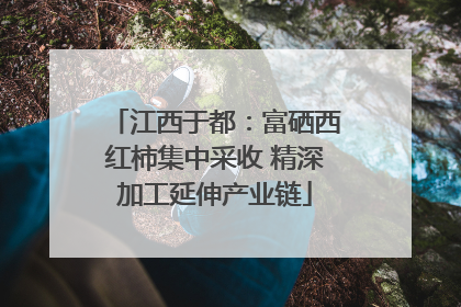 江西于都：富硒西红柿集中采收 精深加工延伸产业链