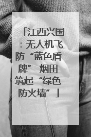江西兴国：无人机飞防“蓝色盾牌” 烟田筑起“绿色防火墙”