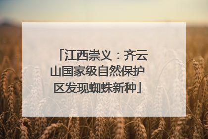 江西崇义：齐云山国家级自然保护区发现蜘蛛新种