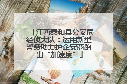 江西泰和县公安局经侦大队：运用新型警务助力护企安商跑出“加速度”