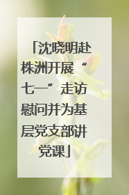 沈晓明赴株洲开展“七一”走访慰问并为基层党支部讲党课