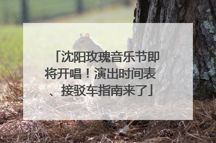 沈阳玫瑰音乐节即将开唱！演出时间表、接驳车指南来了