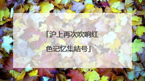沪上再次吹响红色记忆集结号