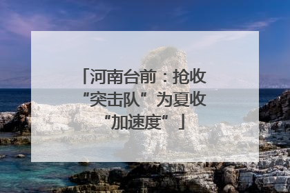 河南台前：抢收“突击队”为夏收“加速度”