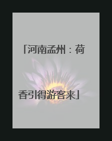 河南孟州：荷香引得游客来