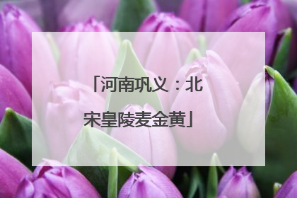 河南巩义：北宋皇陵麦金黄