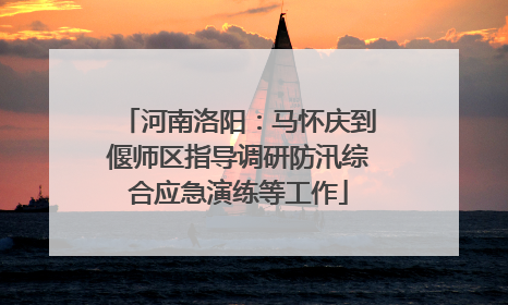 河南洛阳：马怀庆到偃师区指导调研防汛综合应急演练等工作
