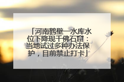 河南鹤壁一水库水位下降现千佛石窟：当地试过多种办法保护，目前禁止打卡