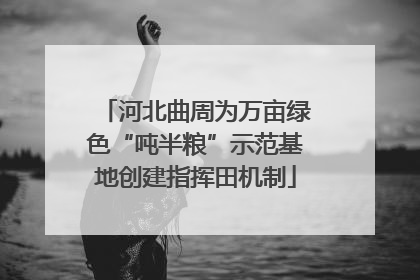 河北曲周为万亩绿色“吨半粮”示范基地创建指挥田机制