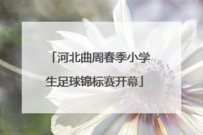 河北曲周春季小学生足球锦标赛开幕