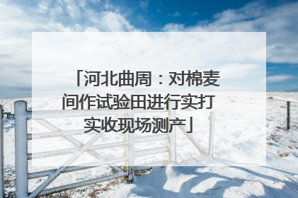 河北曲周：对棉麦间作试验田进行实打实收现场测产