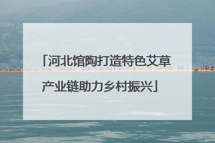 河北馆陶打造特色艾草产业链助力乡村振兴