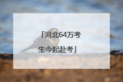 河北64万考生今起赴考